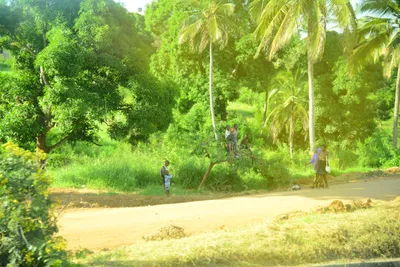 DSC_7720 (Large).JPG